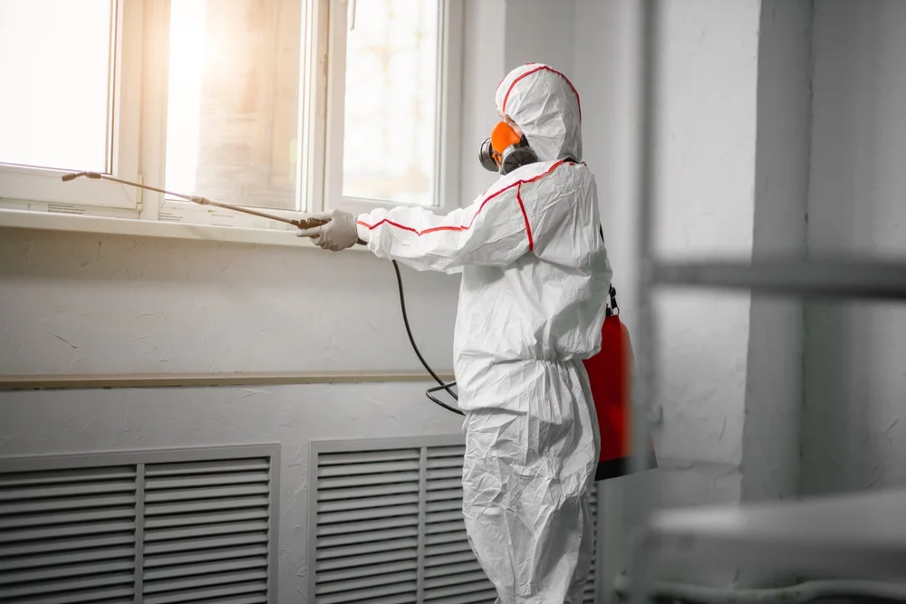 Professional mold remediation services in Jamestown, IN